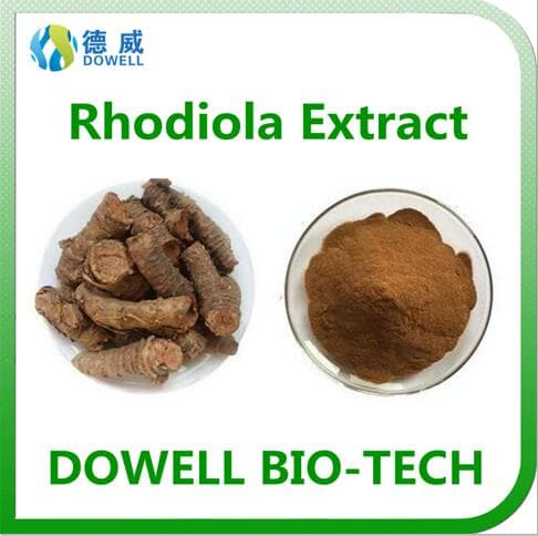 Well sold and top quality rhodiola rosea powder extract with